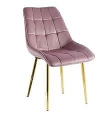 Intesi Polyamidová židle růžová zlaté nohy