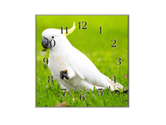 Glasdekor Nástěnné hodiny 30x30cm papoušek kakadu - Materiál: plexi