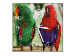 Glasdekor Nástěnné hodiny 30x30cm papoušek eclektus - Materiál: kalené sklo