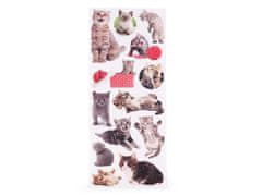 Kraftika 1karta 1 mix kočka papírové samolepky psi, kočky, štítky