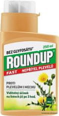 Roundup Fast bez glyfosátu 250 ml koncentrát ZC120166