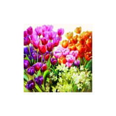 Goba Ubrousky Barevné tulipány 3400019