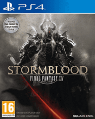 PlayStation Studios Final Fantasy XIV: StormBlood (PS4)