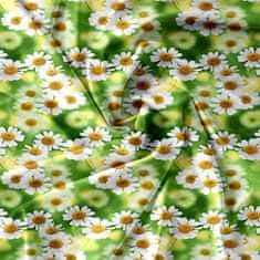 Cotton World Oboustranná ložní souprava 160x200 zelené bílé květy heřmánek