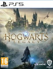 PlayStation Studios Hogwarts Legacy (PS5)