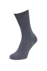 Regina 9500 šedé pánské ponožky antibakteriální Barva: šedá, Velikost: 39-42