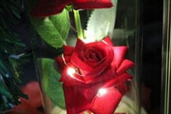 TopKing Věčná růže ve skle červená - svítící