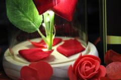 TopKing Věčná růže ve skle červená - svítící