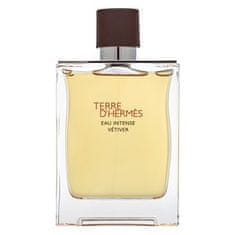 Hermès Hermes Terre D'Hermes Eau Intense Vetiver parfémovaná voda pro muže 200 ml
