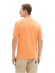 Tom Tailor Pánské triko Regular Fit 1037735.22195 (Velikost M)