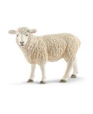 Hollywood Figurka ovce domácí - Schleich - 8,5 cm