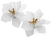 Retro Náušnice s Letními Květinami Boho, Bílá, Kov a Akryl, 5x6 cm