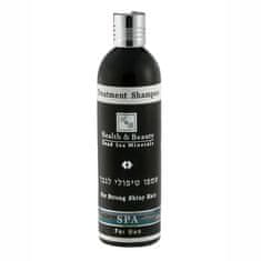 H&B Dead Sea Šampon pro muže s minerály