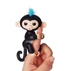 LEBULA Cenocco CC-9048; Opička Happy Monkey Black