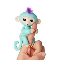 LEBULA Cenocco CC-9048; Opička Happy Monkey Turquoise