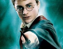 Camerazar Náhrdelník s křídly Zlatého Dráteníka Harryho Pottera, replika z filmu, délka řetízku 50 cm