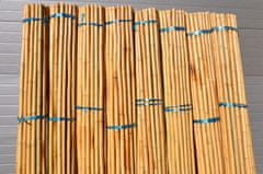 AXIN Bambusová tyč 3- 4 cm, délka 2 metry