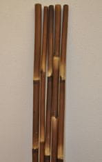AXIN Bambusová tyč 5 - 6 cm, délka 2 metry - barvená hnědá