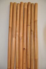 AXIN Bambusová tyč 3- 4 cm, délka 2 metry - lakovaná medová