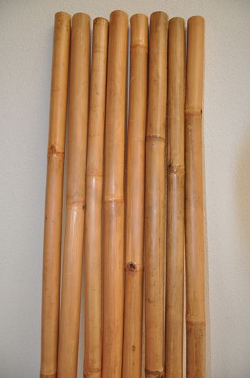AXIN Bambusová tyč 5-6 cm, délka 2 metry - lakovaná medová
