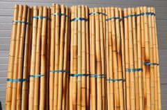 AXIN Bambusová tyč průměr 5-6 cm, délka 2 metry
