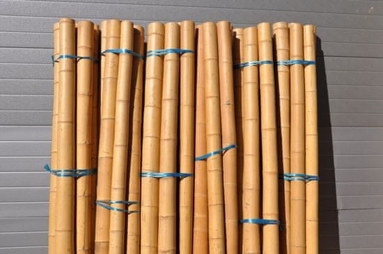 AXIN Bambusová tyč průměr 8-9 cm a délka 2 metry