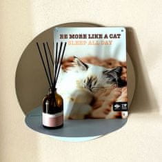 EBI D&D I LOVE HAPPY CATS kovová tabulka: ,,Be more like a cat sleep all day\" 20x25cm