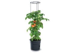 NOHEL GARDEN Prosperplast IPOM Květník TOMATO GROWER pěstování rajčat 2v1 Průměr: 30 cm, Výška: 24 cm