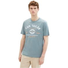 Tom Tailor Pánské triko Regular Fit 1037735.27475 (Velikost XL)