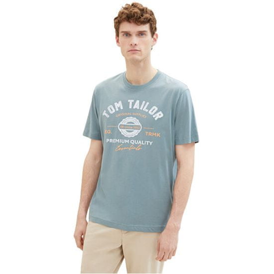 Tom Tailor Pánské triko Regular Fit 1037735.27475