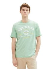 Tom Tailor Pánské triko Regular Fit 1037735.23383 (Velikost XL)