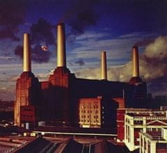 Rhino Animals - Pink Floyd LP