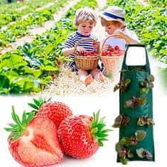 Netscroll Závěsná taška na pěstování jahod (1+1 ZDARMA), StrawberryBag