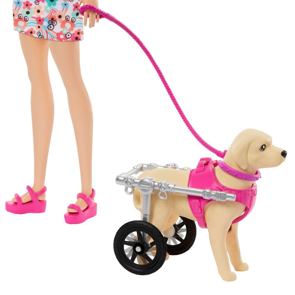 Levně Mattel Barbie Panenka a pejsek s invalidním vozíčkem HTK37