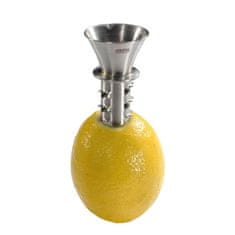 Gefu Gefu citrusová hubička G12485