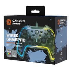 Canyon Gamepad GP-2 RGB 4v1 (Nintendo Switch, Android TV, PC, PS3) - průhledný