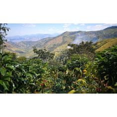 COFFEEDREAM Káva PERU DECAFEINATED Gr.1 - Hmotnost: 500g, Typ kávy: Zrnková, Způsob balení: běžný třívrstvý sáček