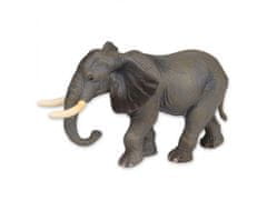 sarcia.eu Collecta Sada figurek pro děti, divoká safari zvířátka 3+ 