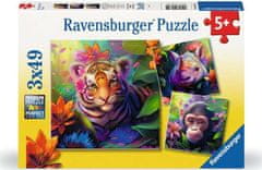 Ravensburger Puzzle Mláďata z džungle 3x49 dílků