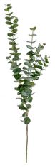 Shishi Větvička eukalyptu 120 cm