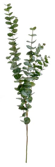 Shishi Větvička eukalyptu 120 cm