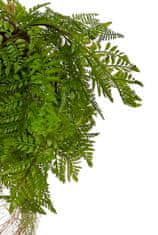 Shishi Kapradina závěsná zelená 75 cm