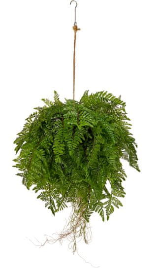 Shishi Kapradina závěsná zelená 85 cm