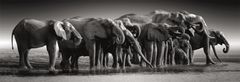 Clementoni Panoramatické puzzle Stádo slonů 1000 dílků
