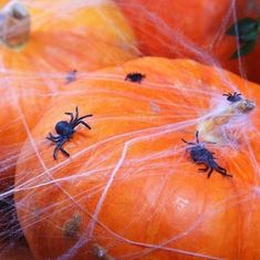 Sada pavouci - Halloween - 10 ks