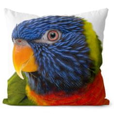 IMPAR SUBLIMACE Polštář Barevný papoušek; Velikost = 40 x 40 cm