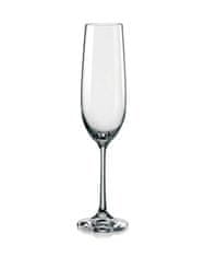 Crystalex Sada 6 sklenic na šampaňské Viola z kvalitního bezolovnatého křišťálu.