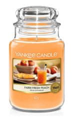 Yankee Candle svíčka vonná sklo FARM FRESH PEACH 623g (hoří 150hod)