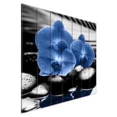 ZUTY Obrazy na stěnu - Modré orchideje, 210x195 cm