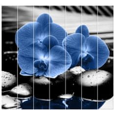 ZUTY Obrazy na stěnu - Modré orchideje, 210x195 cm